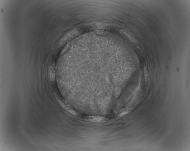 X0000085730719200704091444