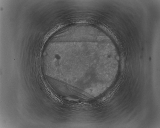 X0000085730721200704091443