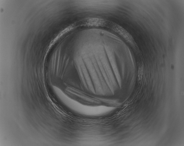 X0000085730722200704091443