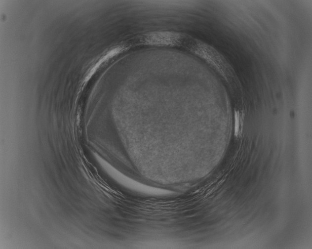 X0000085730723200704091443