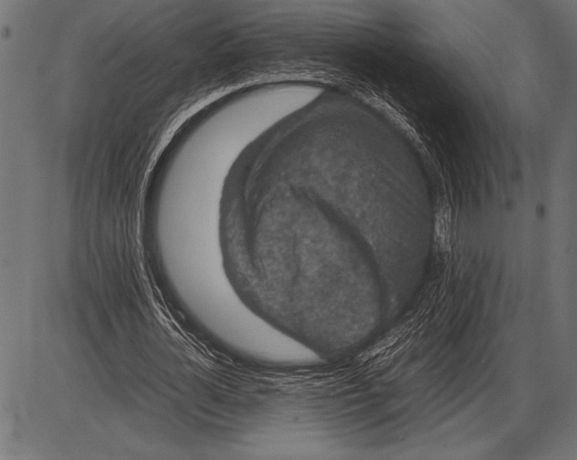 X0000085730724200704091443