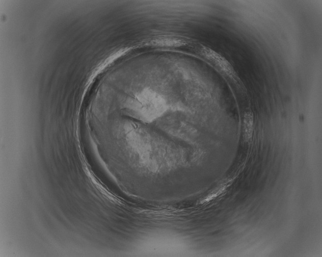 X0000085730726200704091443