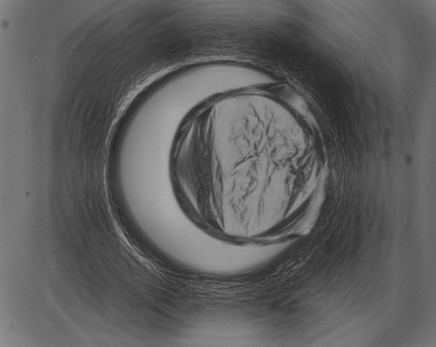 X0000085730728200704091443