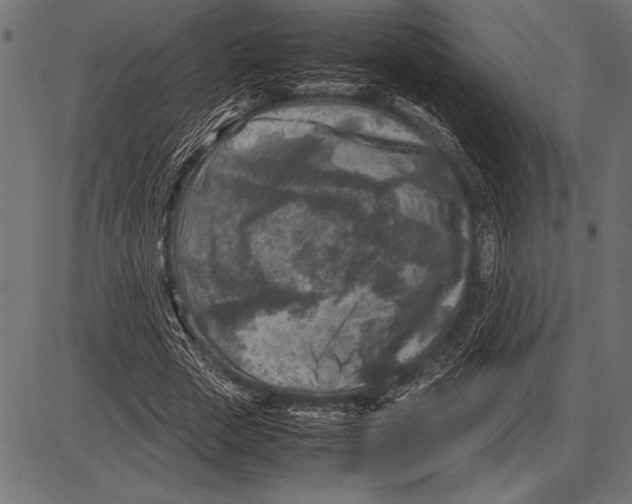 X0000085730729200704091443