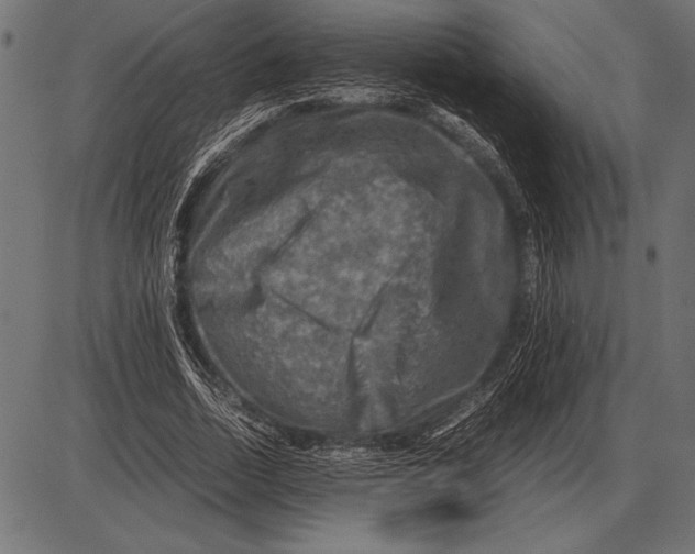 X0000085730730200704091443