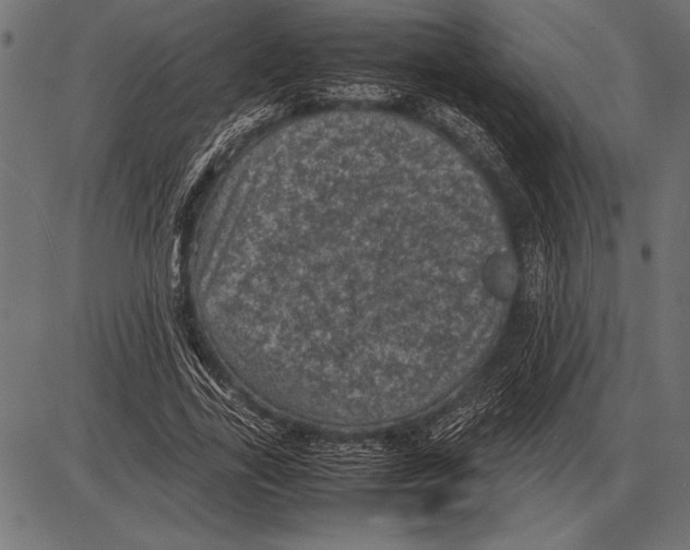 X0000085730731200704091443