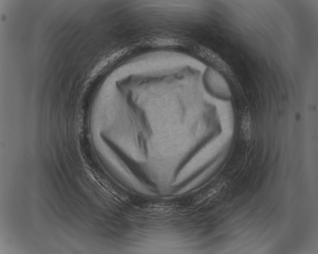 X0000085730732200704091443