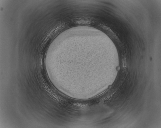 X0000085730733200704091443