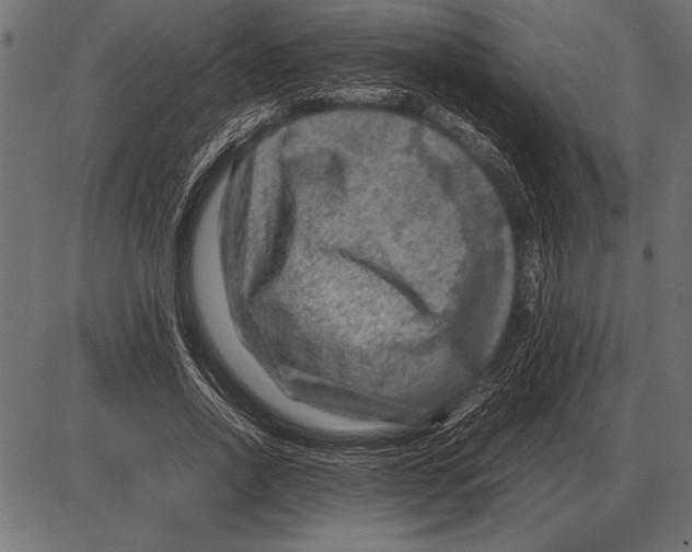 X0000085730734200704091443