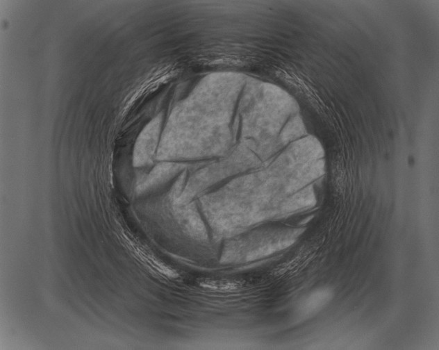 X0000085730735200704091443