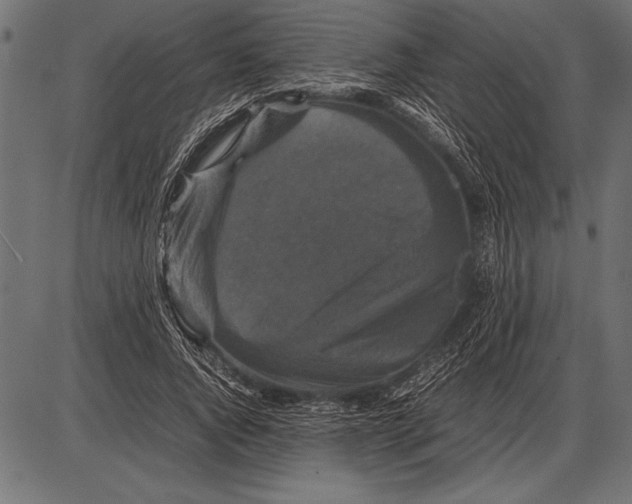 X0000085730736200704091443