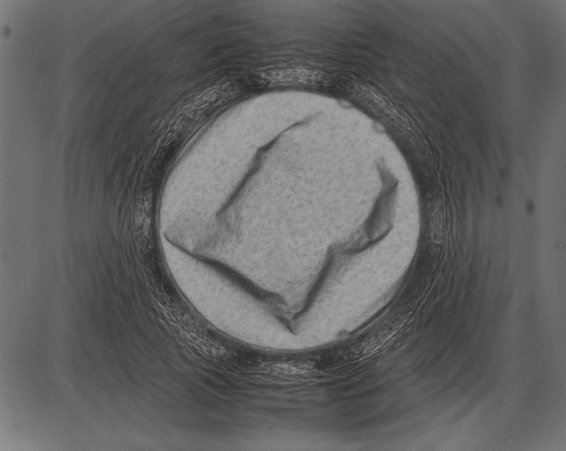 X0000085730737200704091443