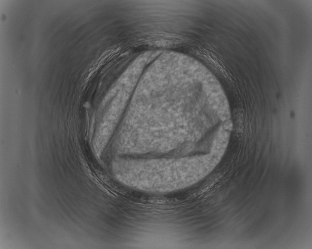 X0000085730738200704091443