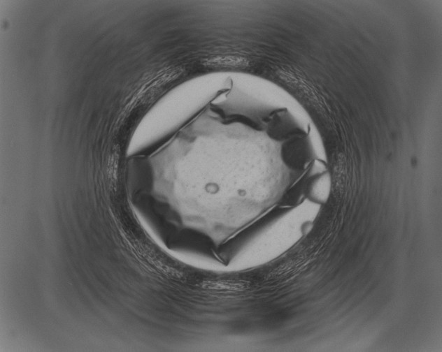 X0000085730739200704091443