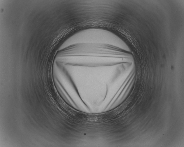 X0000085730740200704091443