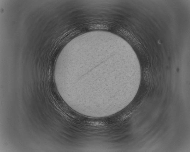 X0000085730741200704091443