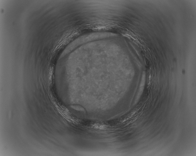 X0000085730742200704091444