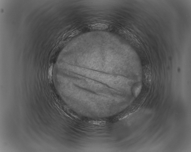 X0000085730745200704091444