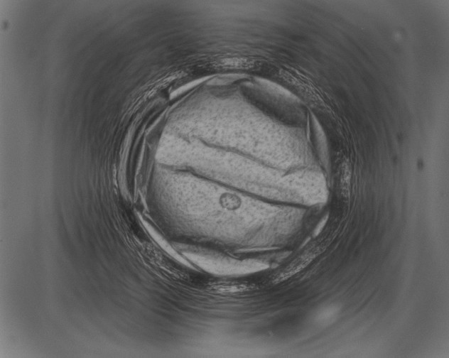 X0000085730746200704091444