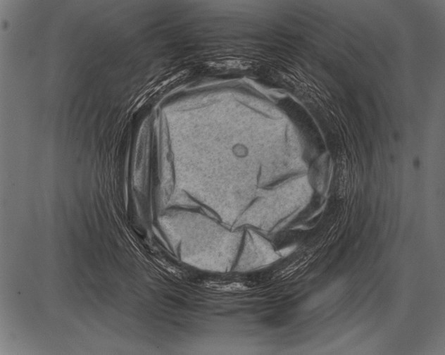 X0000085730747200704091444