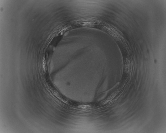 X0000085730748200704091444