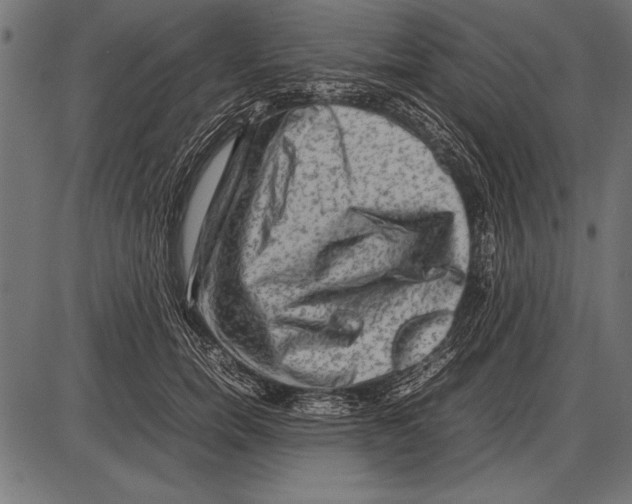 X0000085730750200704091444