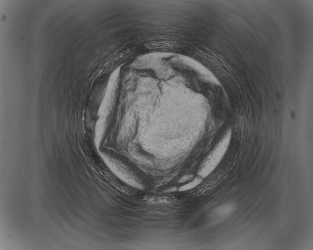 X0000085730751200704091444