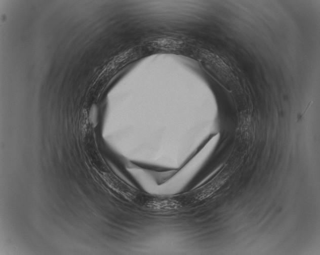 X0000085730752200704091444