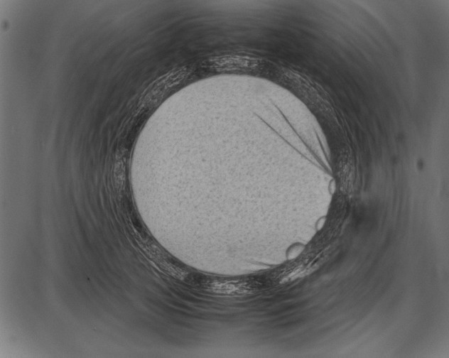 X0000085730753200704091444