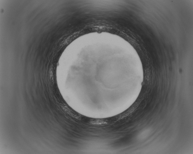 X0000085730754200704091444