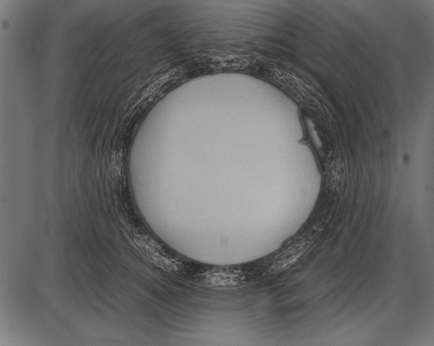 X0000085730756200704091444