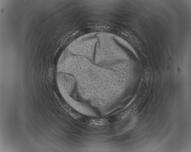 X0000085730757200704091444