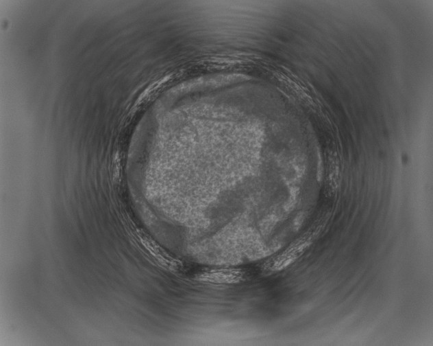 X0000085730758200704091444