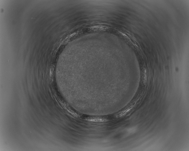 X0000085730759200704091444