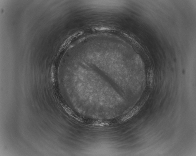 X0000085730760200704091444