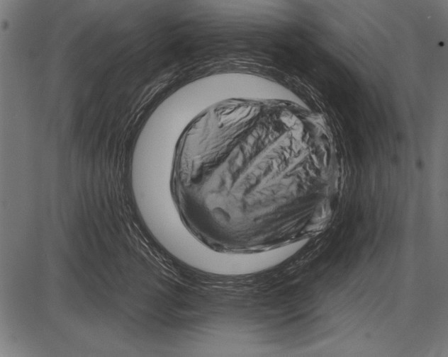 X0000085730762200704091444