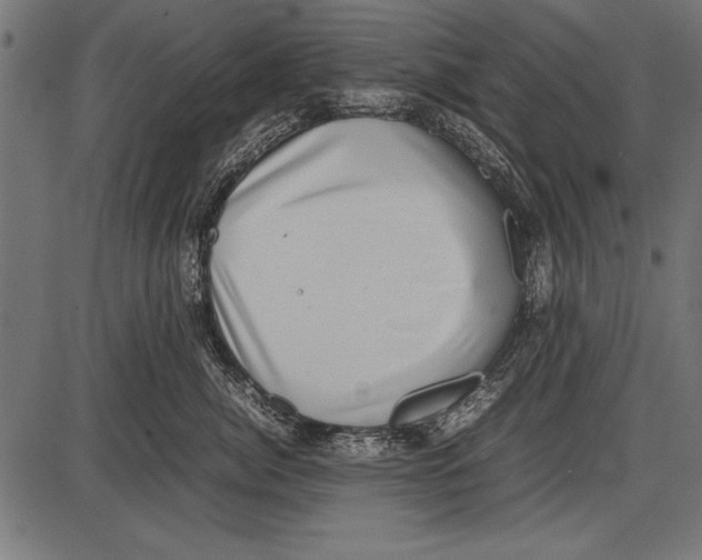 X0000085730764200704091444