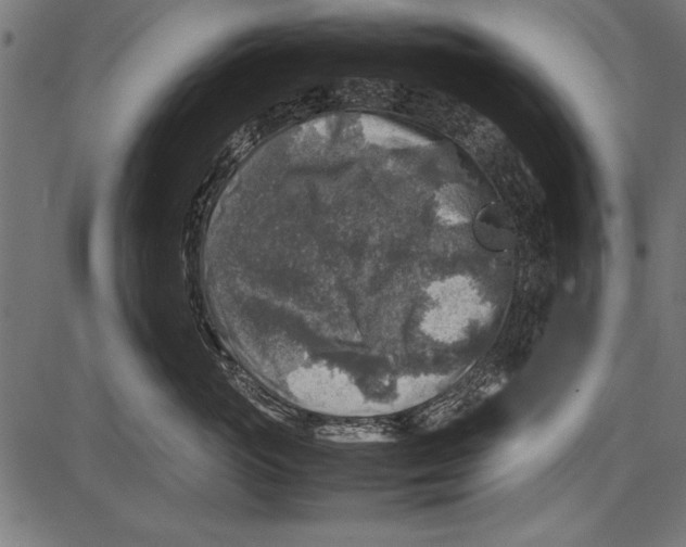 X0000085730765200704091444