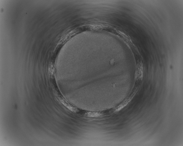 X0000085730766200704091444