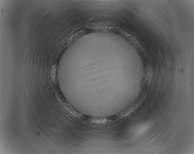 X0000085730767200704091444