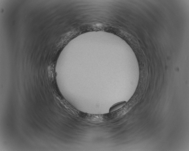 X0000085730768200704091444