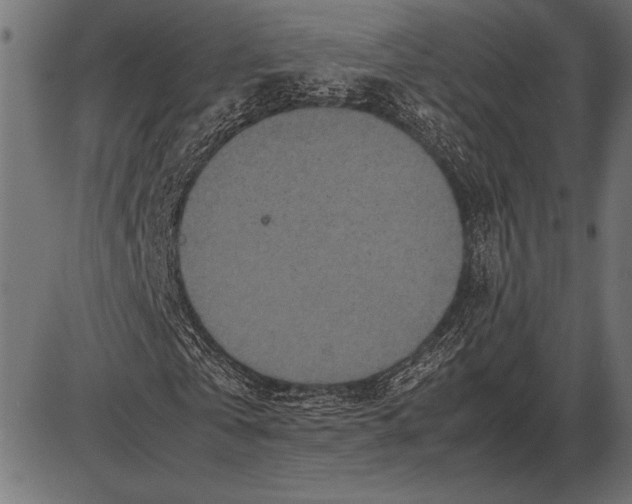 X0000085730769200704091443