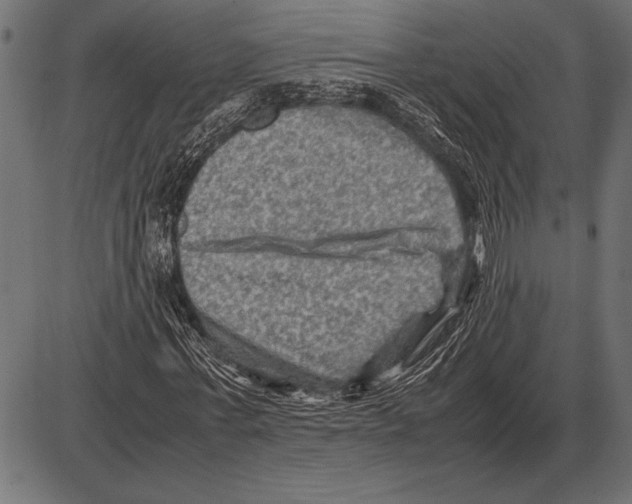 X0000085730771200704091443