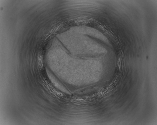 X0000085730772200704091443