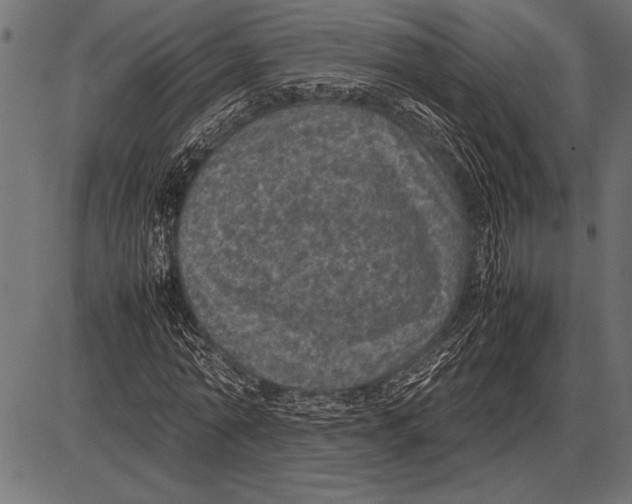 X0000085730774200704091443