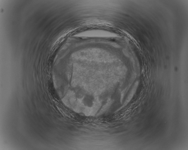 X0000085730775200704091443