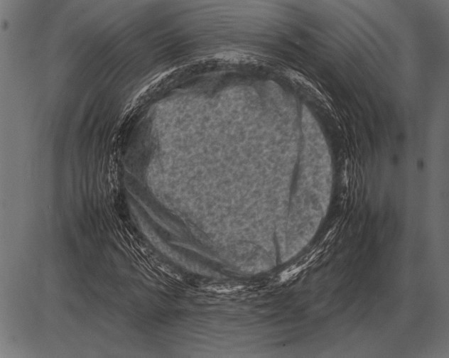 X0000085730776200704091443