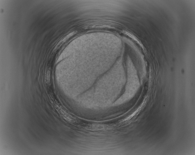 X0000085730777200704091443