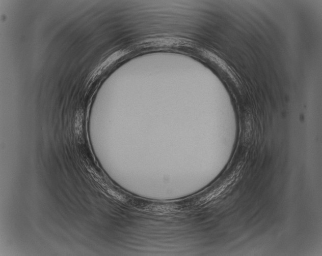 X0000085730778200704091443