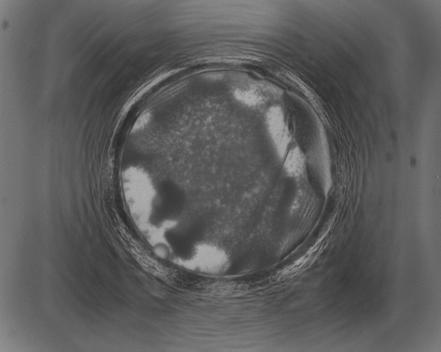 X0000085730779200704091443